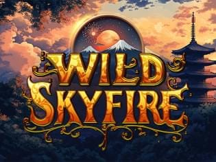 Wild Skyfire game icon