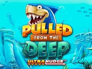 Pulled From The Deep UltraNudge game icon